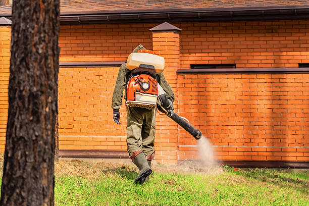 Trusted Termite Control service in Aliso Viejo, CA - Nex Pest Control